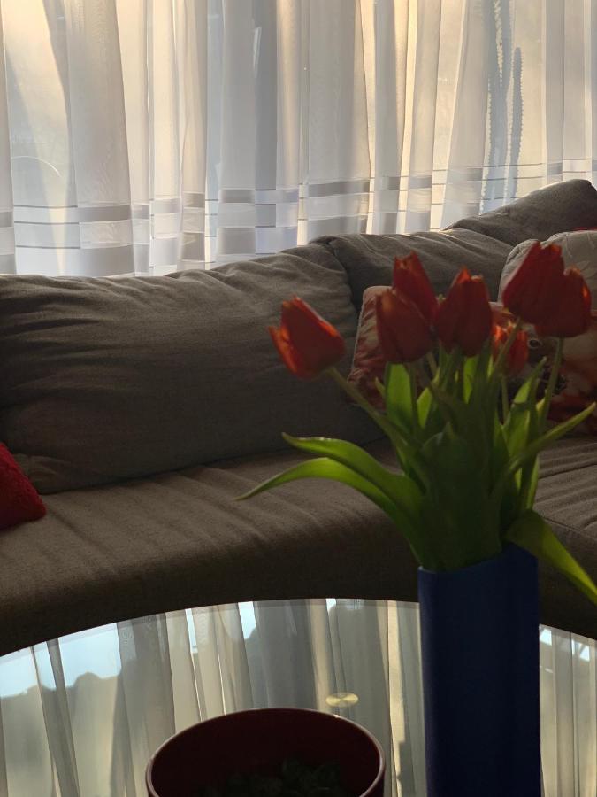 Little Heaven Apartment พาร์สแบร์ก ภายนอก รูปภาพ